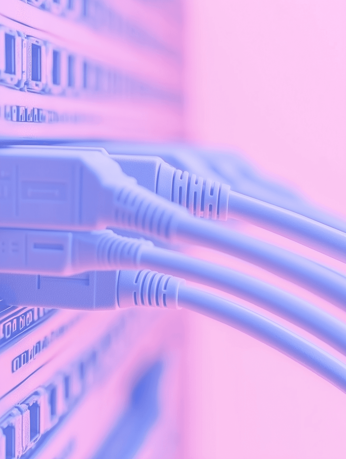 Network cables plugged into a switch, lit in purple, representing edge network routing